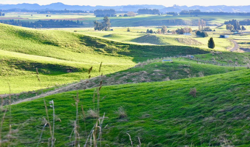 Hills above the Old Coach Road, Ohakune, Ruapehu evoke memories of a New Zealand travel adventure. (Image © Joyce McGreevy)