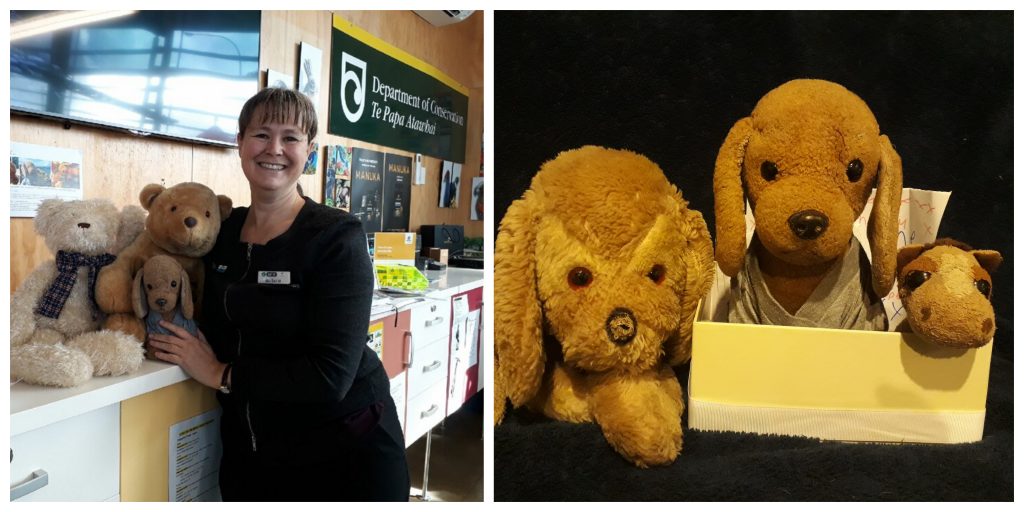 A woman with several toy animals evokes memories of a New Zealand travel adventure and Kiwi kindness. (Image © Susan Jamieson/ Barbara Van Der Woerd)