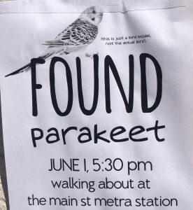A sign for a found parakeet in Evanston, IL might feature in travel stories of travel mishaps. Image © Joyce McGreevy