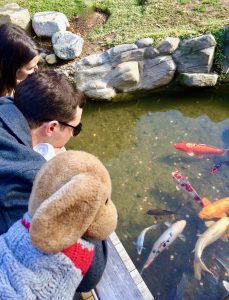 A toy canine travel mascot named Bedford, shown at the Huntington Botanical Gardens, inspires his human travel buddy to see the world differently. (Image © Joyce McGreevy)