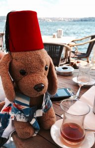 A toy canine travel mascot named Bedford, sipping tea in Istanbul, inspires his human travel buddy to see the world differently. (Image © Joyce McGreevy)