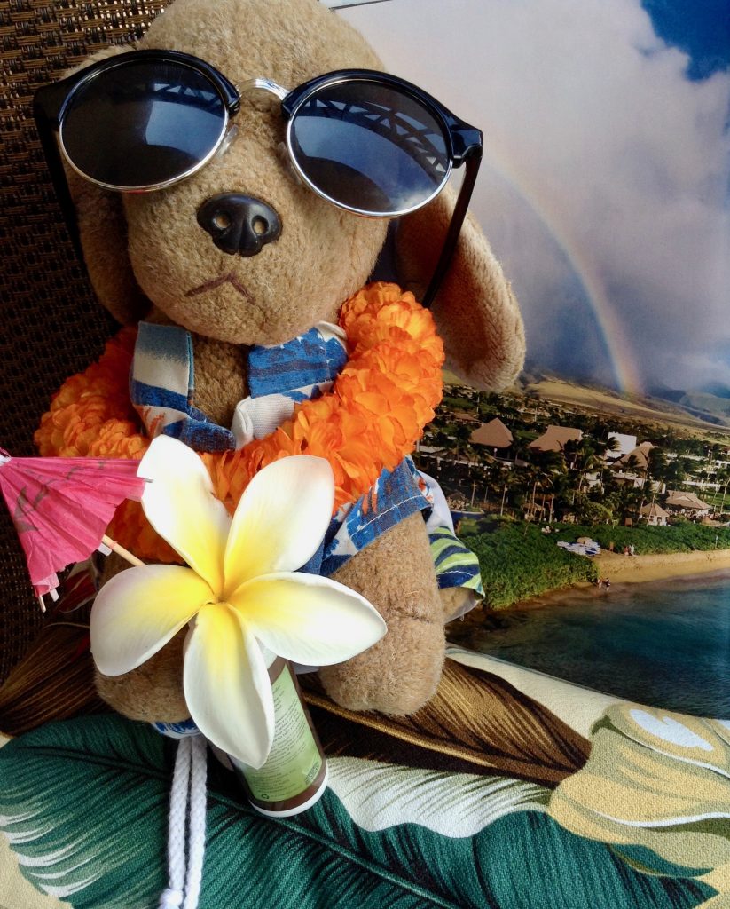 A toy canine travel mascot named Bedford, dressed for Maui, inspires his human travel buddy to see the world differently. (Image © Joyce McGreevy) 