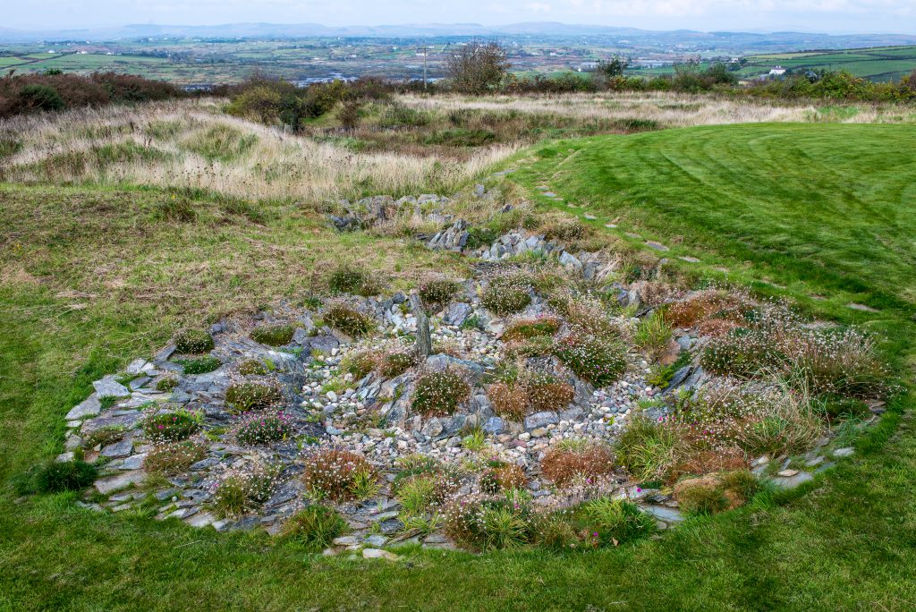 Vivienne DeCourcy's home in Ireland reflects her love of wild gardening. Image © Vivienne deCourcy 