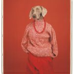 Everything is Pawssible at the Arles Photo Festival