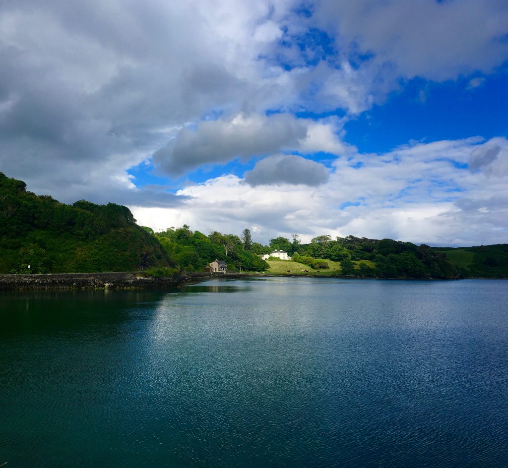 Lough Hyne, Co. Cork, Ireland inspires Vivienne DeCourcy, writer-director of DARE TO BE WILD. Image © Joyce McGreevy