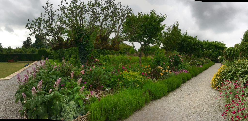 The grounds of Lismore Castle, Ireland showcase the beauty of wild gardening. Image © Joyce McGreevy 