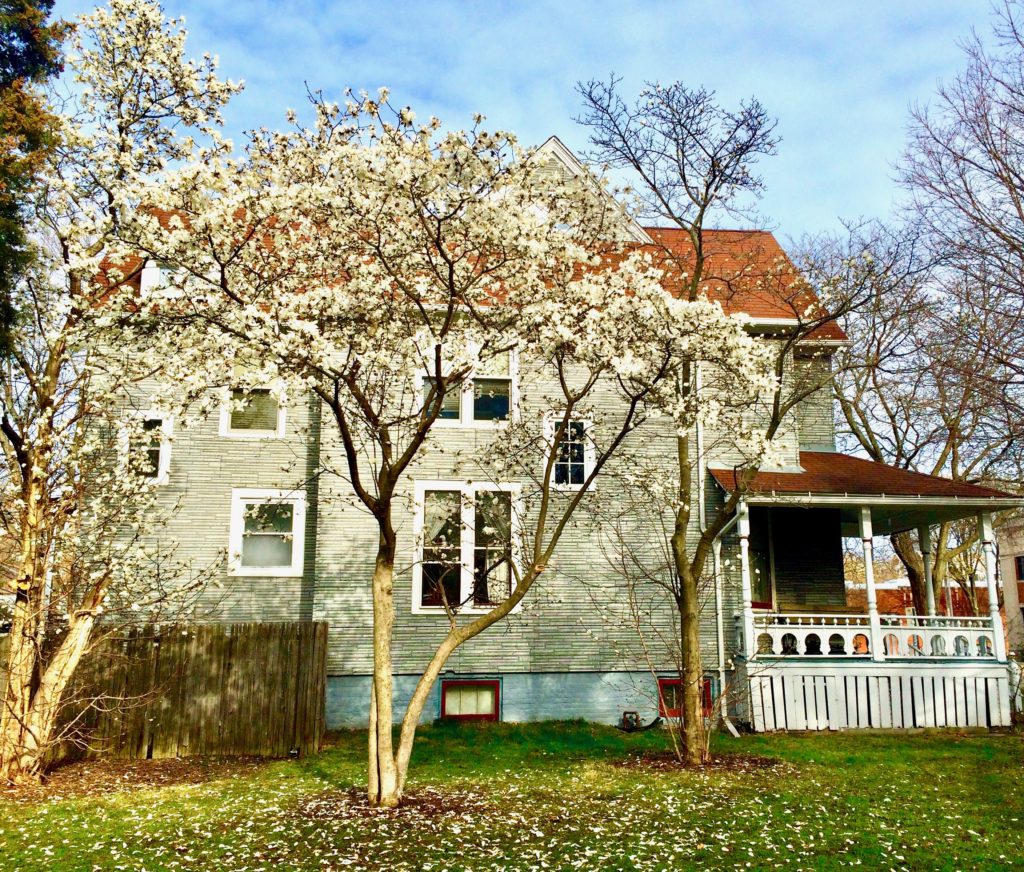 A vintage house in Illinois evokes the beauty of savoring summer. (Image @ Joyce McGreevy)