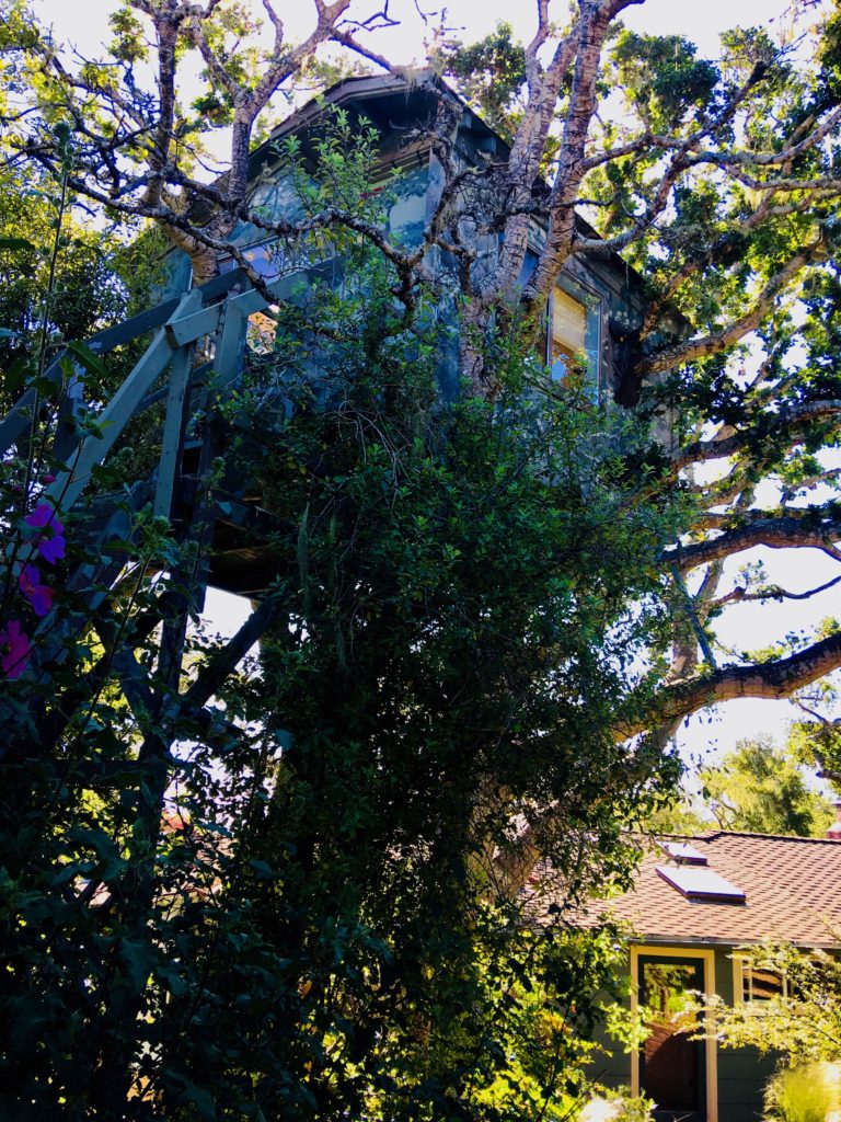 A tree house evokes the pleasure of savoring summer. (Image @ Joyce McGreevy)