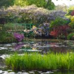 Finding the Spirit of Monet’s Giverny Gardens
