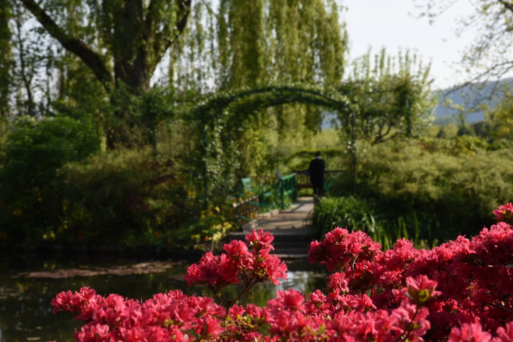 Azaleas at the Japanese waterlily pond, travel inspiration at the Giverny gardens in France. (Image © Meredith Mullins.)