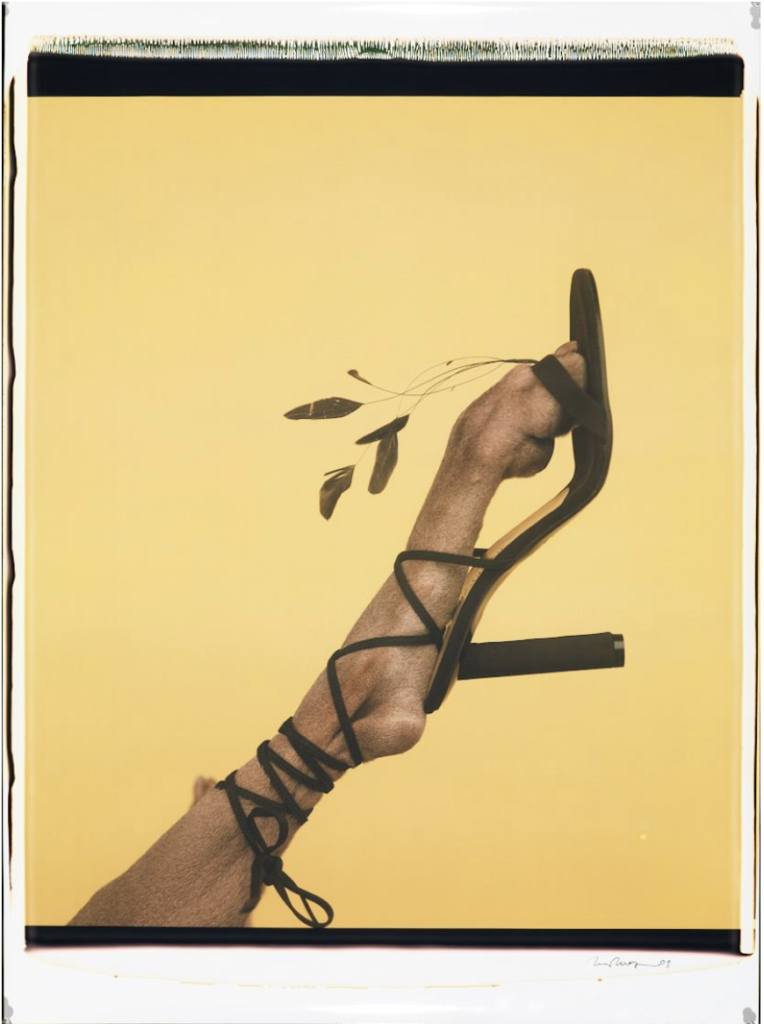 Feathered Footwear, a photo by William Wegman at the Rencontres d'Arles (Arles Photo Festival). (Image © William Wegman.)