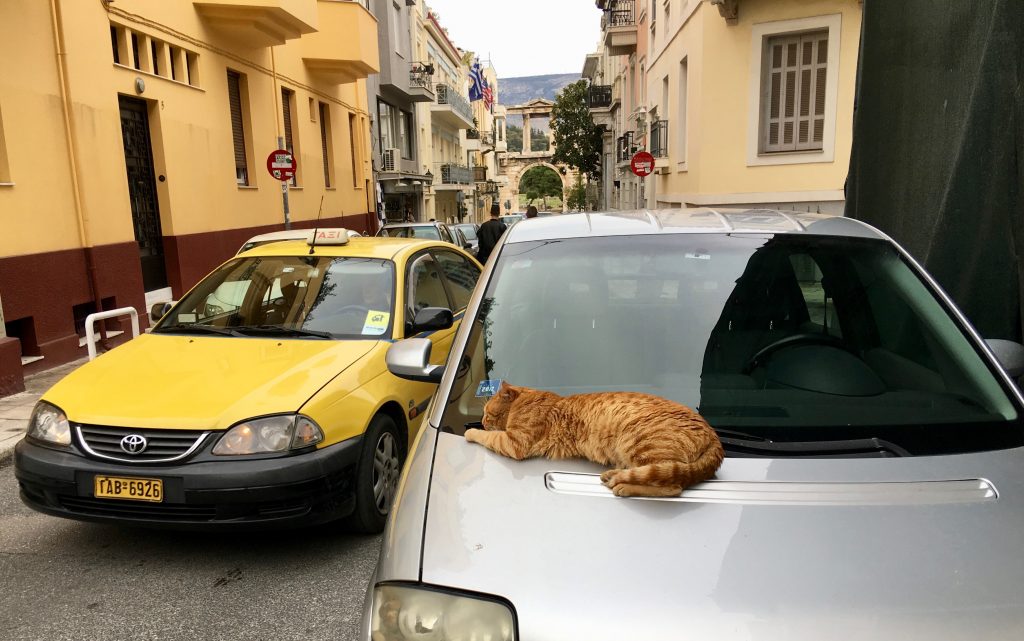 A city street in Athens, Greece inspires thoughts of learning a second language. (Image © Joyce McGreevy)