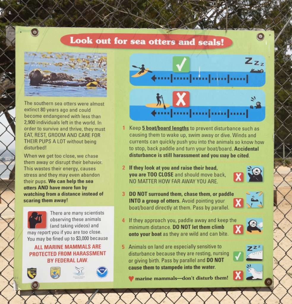 A sign with guidelines about sea otter life, a nature watch responsibility. (Image © Meredith Mullins.)
