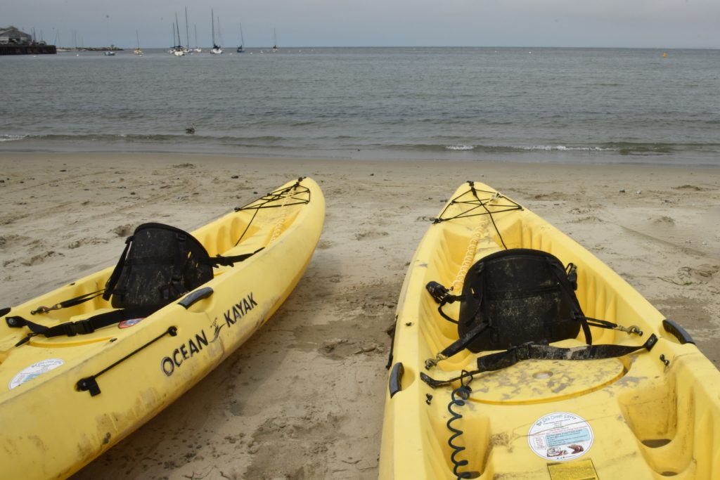 Two kayaks with decals about otter etiquette, a reminder for nature watch to protect them. (Image © Meredith Mullins.)