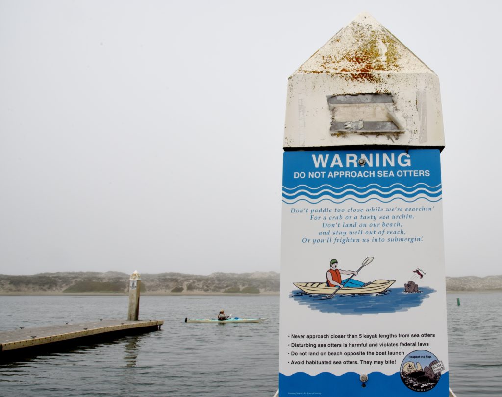 A warning sign with a limerick about California sea otter behavior in the Moss Landing harbor, a reminder about nature watch to protect the otters. (Image © Meredith Mullins.)