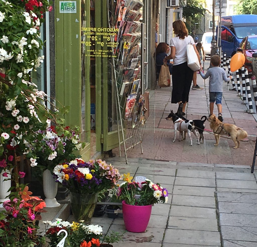 Ulitsa Karnigradska is one of the charming streets that inspires wanderlust to visit Sofia, Bulgaria. Image © Joyce McGreevy