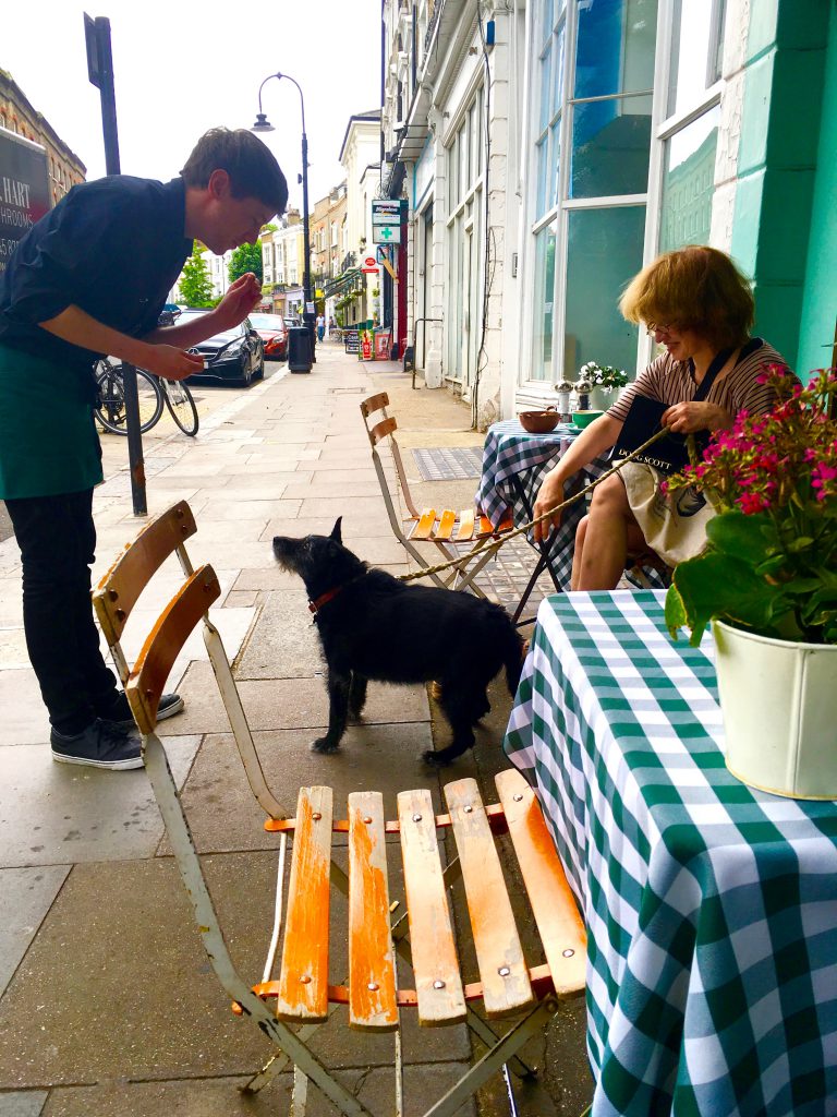 An interaction between a waiter, a dog, and a customer exemplifies the travel inspiration of London details. (© Joyce McGreevy)