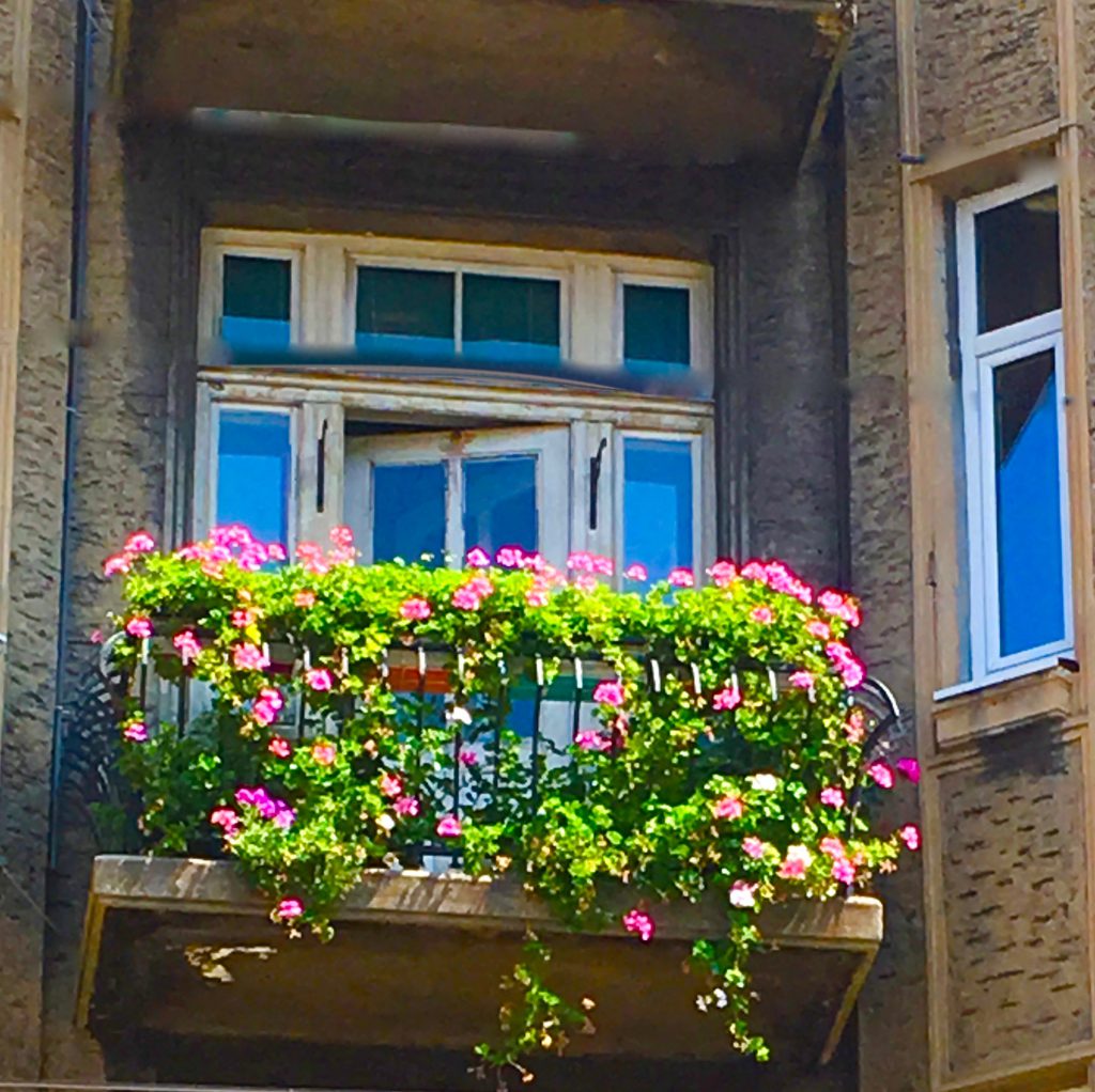 Flowers on a balcony delight those whose wanderlust inspires them to visit Sofia, Bulgaria. Image © Joyce McGreevy