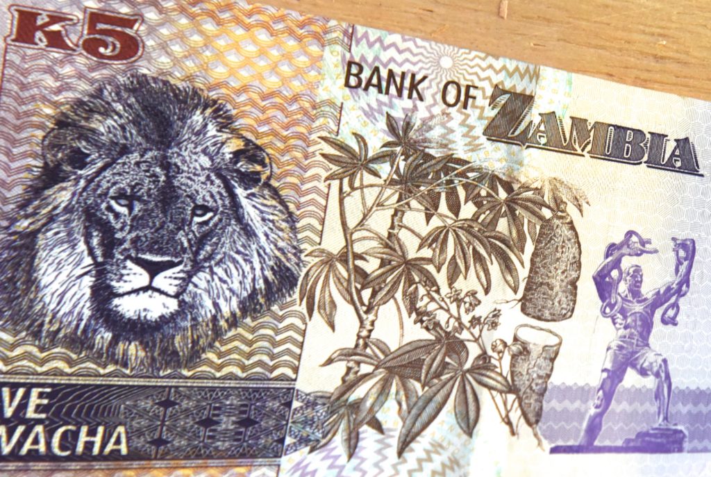 Paper money from Zambia, showing cultural heritage and traditions. (Image © Meredith Mullins.)