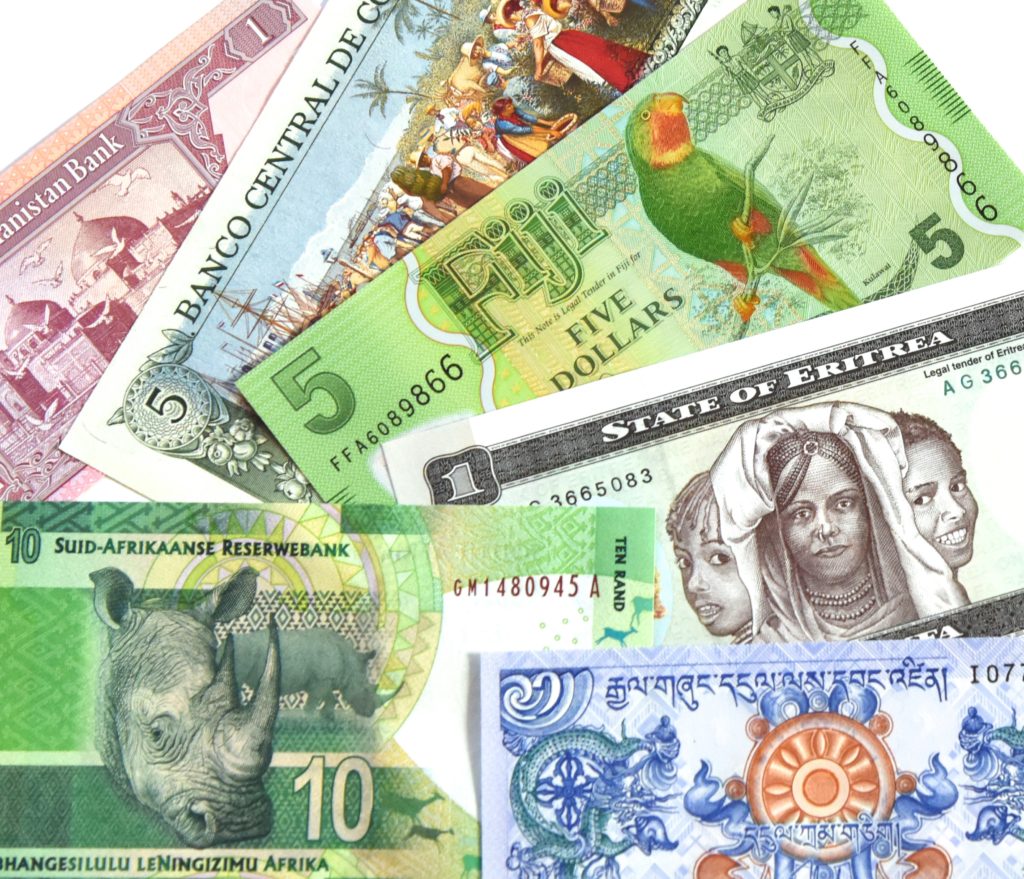 Array of world paper money, showing cultural heritage and traditions. (Image © Meredith Mullins.)