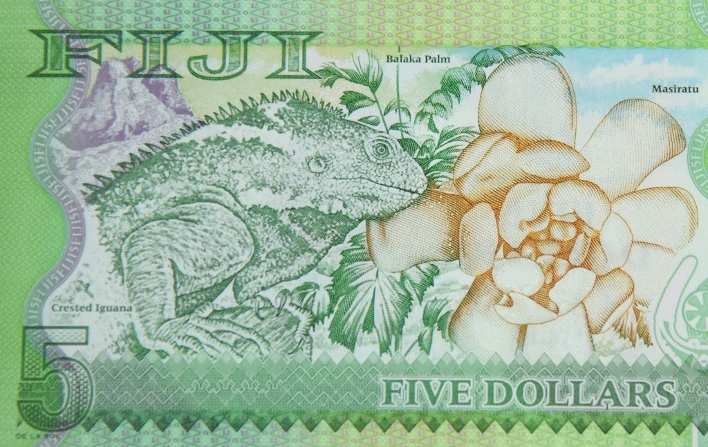 Iguana and flower on Fiji paper money, showing cultural heritage and traditions. (Image © Meredith Mullins.)