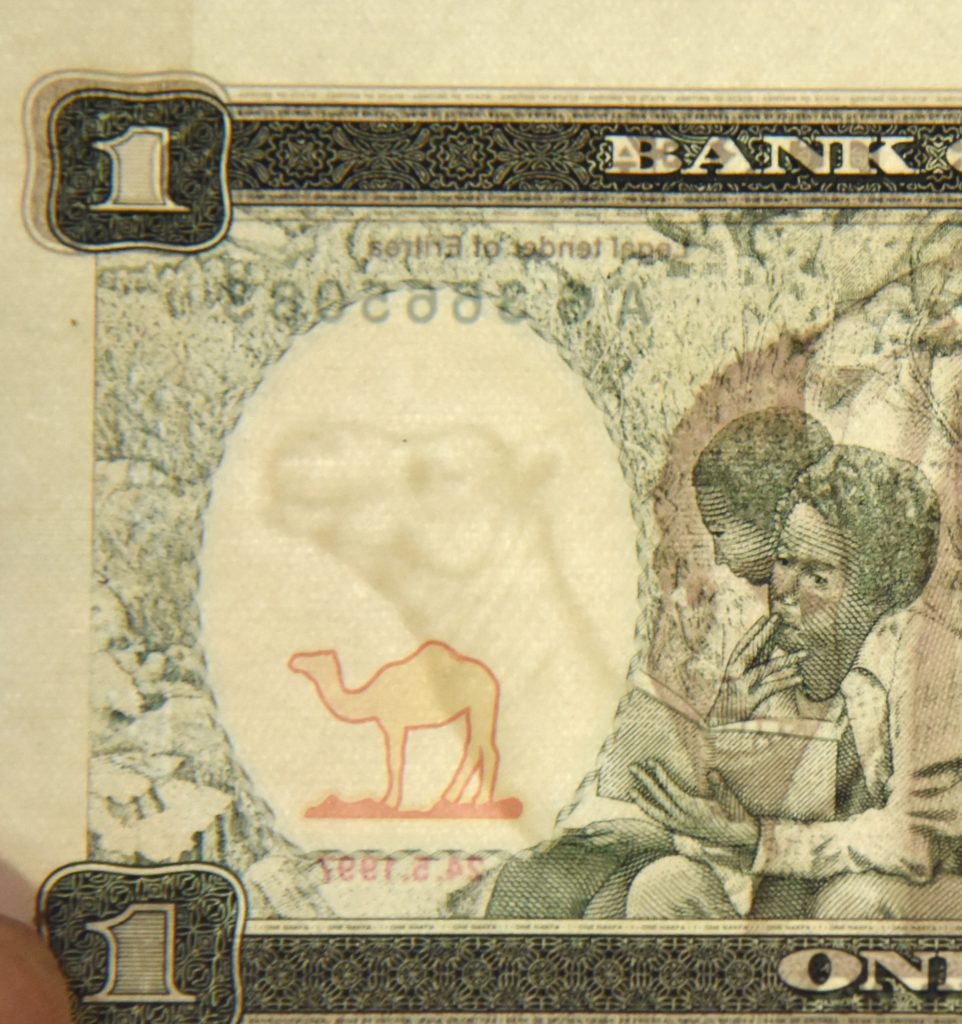 Camel appearing on Eritrean paper money, showing the world's paper money and cultural heritage and traditions. (Image © Meredith Mullins.)