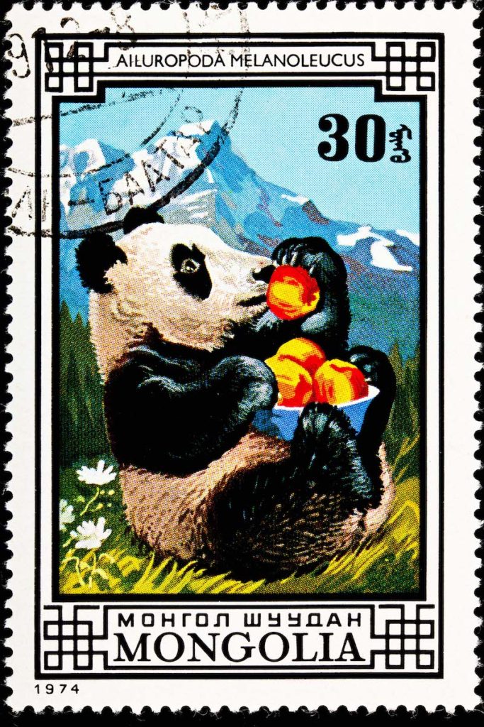 Giant Panda eating peaches on a postage stamp from Mongolia, proving postage stamps show something about a country's cultural heritage and traditions. (Image © Gingwa/iStock.)