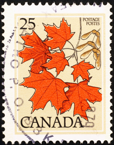 Maple leaves on canadian postage stamp, showing that postage stamps can reveal the cultural heritage and traditions of a country. (Image © Manakin/iStock.)