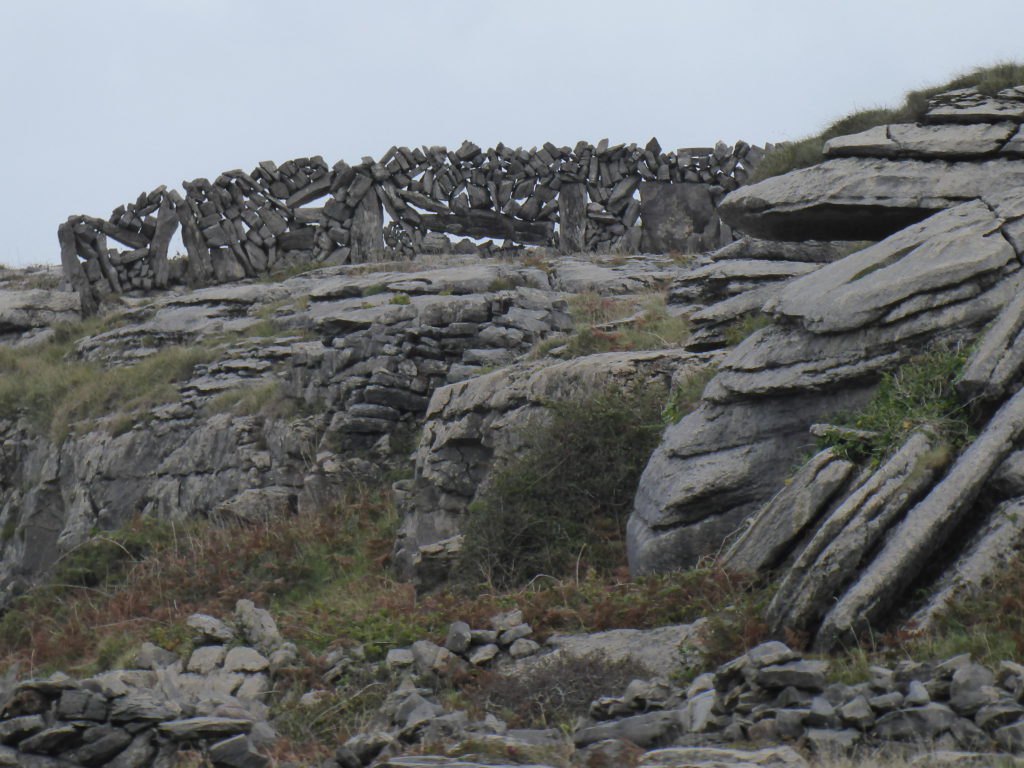 Stone fences in Inis Mór, reminds us that 10,000 years ago the Aran Islands were part of the Burren, a geological wonder in Ireland and one of the most amazing places on Earth. (Image © Julie Cason)