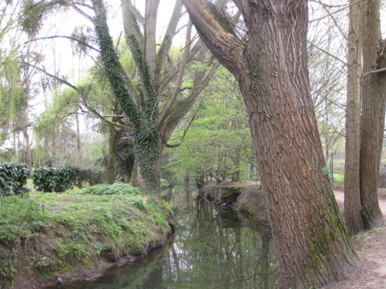 The River Bièvre in Igny, a way to feed your wanderlust with Paris hidden treasures. (Image © Annabel Simms.)