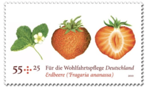 German Postage stamp with strawberry, showing that postage stamps can reveal cultural heritage and traditions of a country.