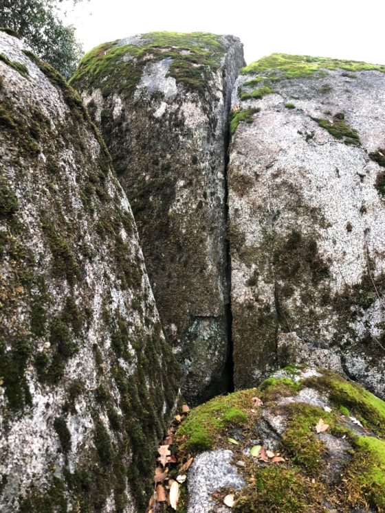 Granite rocks with moss, showing the cultural traditions of Japanese wabi sabi, as nature shows signs of aging. (Image © DMT.)