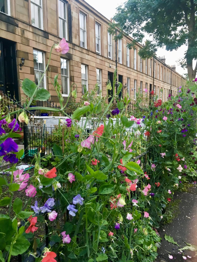 A Queen's Park street in Glasgow leads to a textile exhibition that inspires the wordplay of clothing idioms. (Image © Joyce McGreevy)