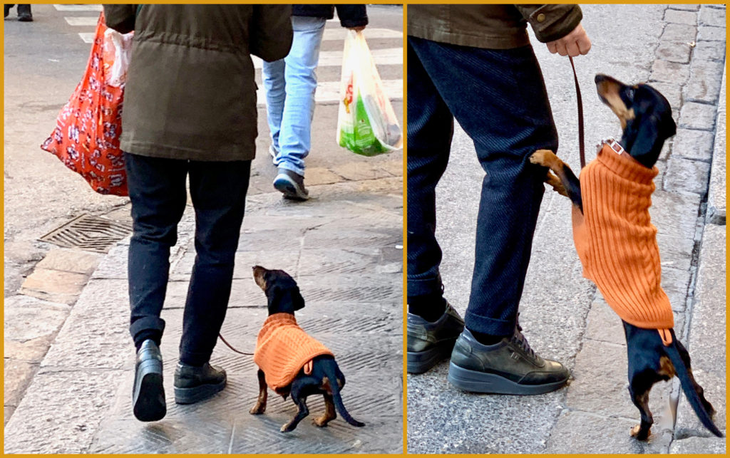 A little dog and its human in Florence, Italy reflect the piaceri piccoli (small pleasures) of everyday life. (Image © Joyce McGreevy)