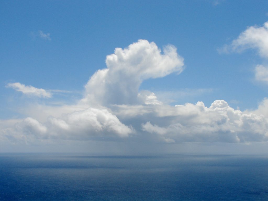 Cloud shaped like a baby elephant, cloud watching while traveling the world. (Image © DMT.)
