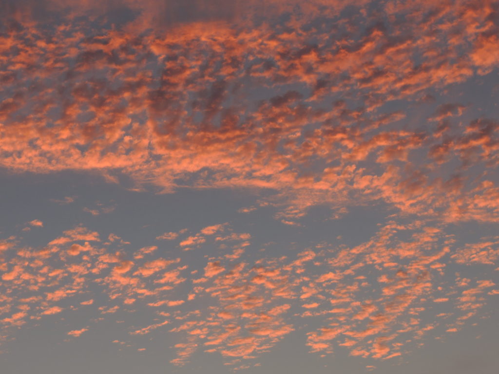 Altocumulus clouds, as seen when cloud watching while traveling the world. (Image © DMT.)