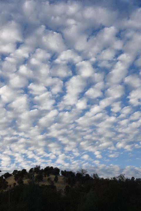 A mackerel sky (altocumulus clouds) near Yosemite National Park in California, traveling the world while cloud watching. (Image © Meredith Mullins.)