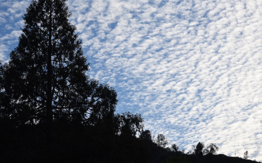 Cirrocumulus clouds, cloud watching while traveling the world. (Image © Meredith Mullins.)