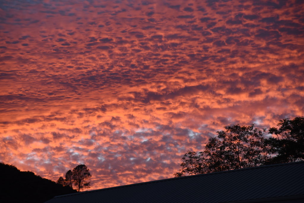 Altocumulus clouds at sunset near Yosemite National Park in California, traveling the world while cloud watching. (Image © Meredith Mullins.)