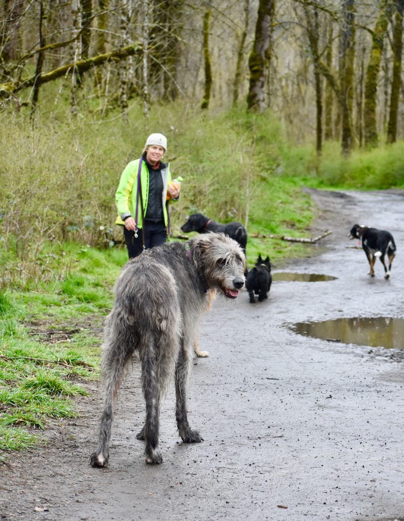 Creative thinker Meg Vogt and her dogs stroll through a leash-free dog park in Portland, Oregon. (Image © Joyce McGreevy)