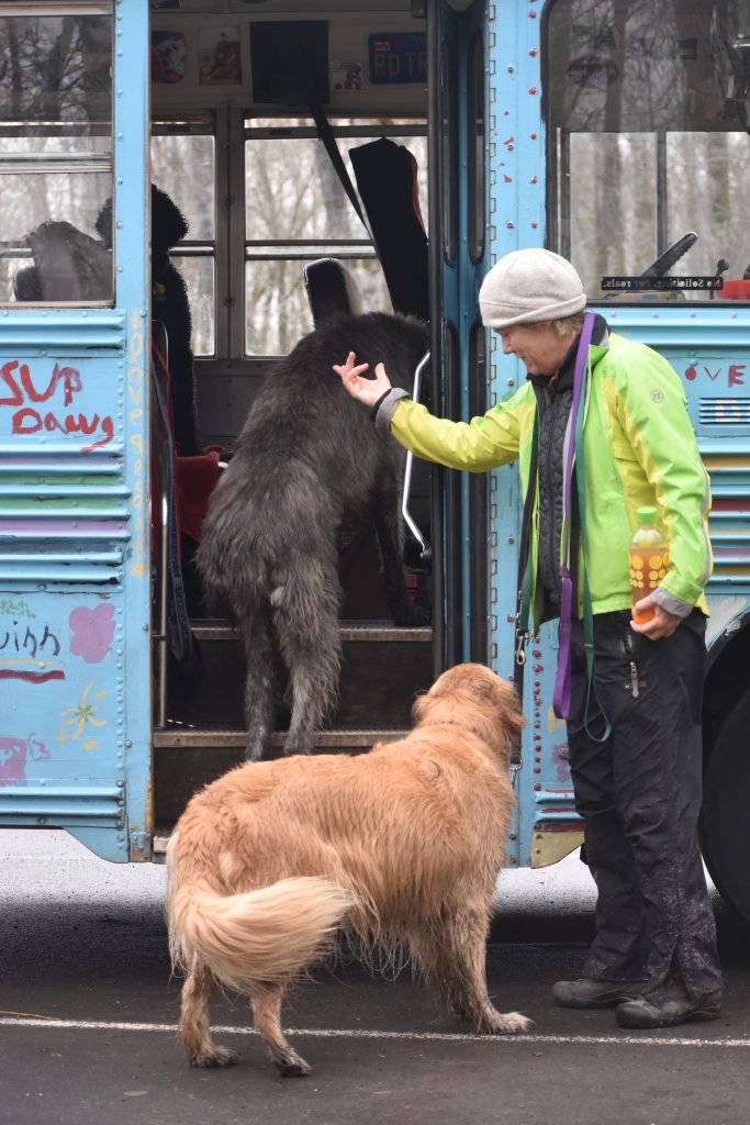 Meg Vogt, creative thinker and owner of Dogs Rule! welcomes canines on her dog bus in Portland, Oregon. (Image © Joyce McGreevy)