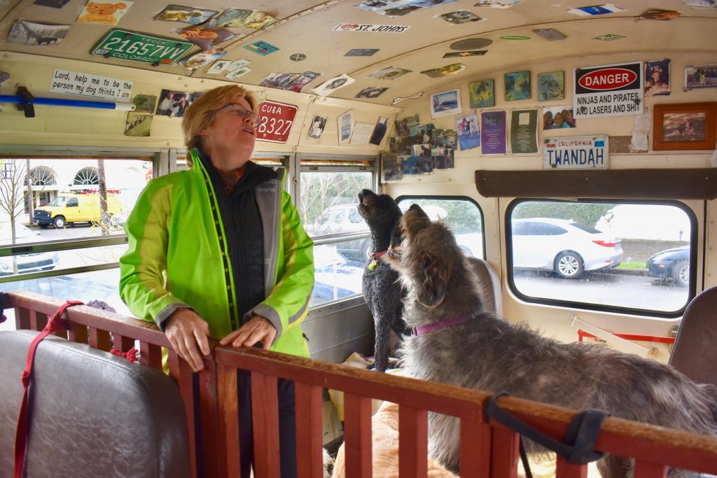 Creative thinker Meg Vogt, Max the poodle, and Grendel the Irish wolfhound howl for fun on the dog bus in Portland, Oregon. (Image © Joyce McGreevy)
