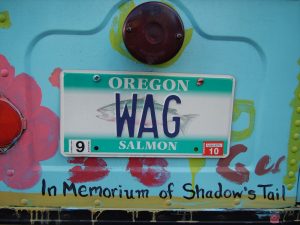 A license plate from the dog bus in Portland, Oregon reflects Meg Vogt’s creative thinking. (Image © Joyce McGreevy)