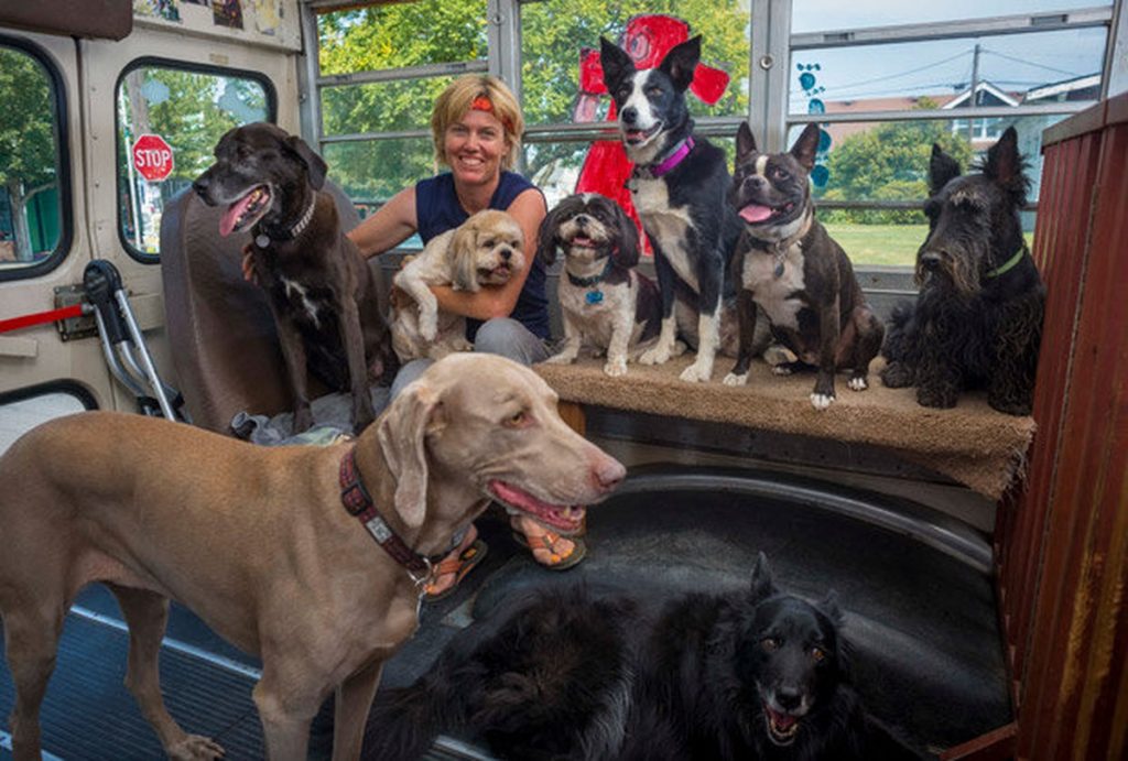 Creative thinker Meg Vogt and dogs on the bus pose for a “pack portrait” in Portland, Oregon. (Image © Ryan LaBriere)