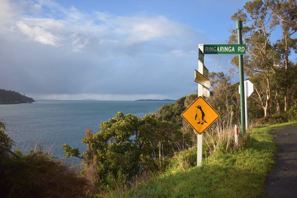 A penguin crossing sign in New Zealand reminds people to respect the world of birds. (Image @ Joyce McGreevy)