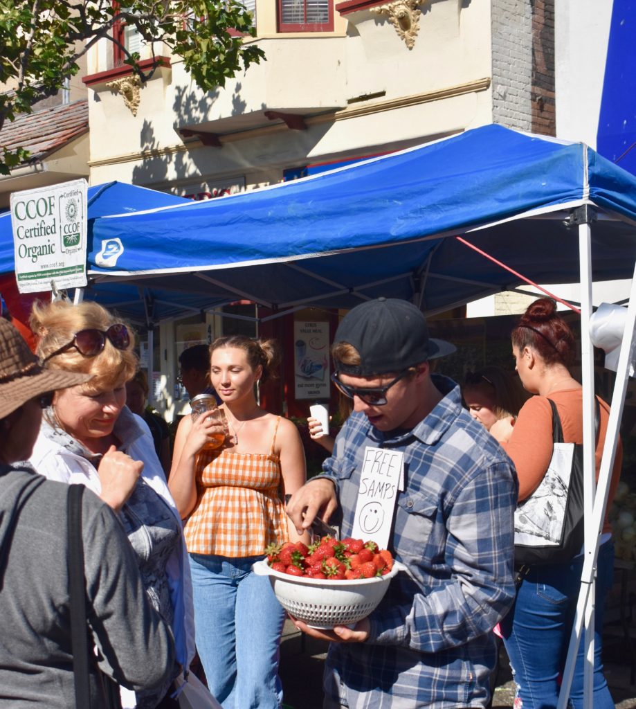 People at Monterey Marketplace on Alvarado Street enjoy the American custom of a farmers market. (Image © Joyce McGreevy)