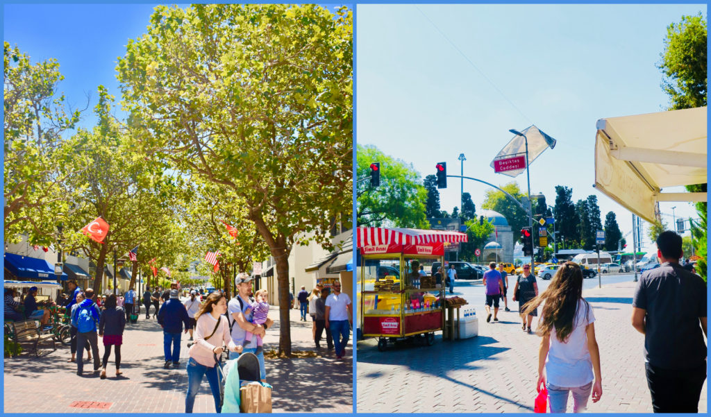 Two street scenes, one during a cultural festival in Monterey, one in Istanbul, celebrate Turkish culture. (Image © Joyce McGreevy)