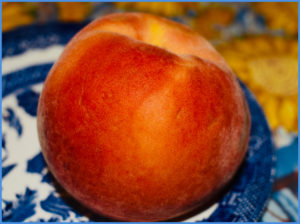 An organic peach reflects the appeal of farmers markets. (Image © Joyce McGreevy)