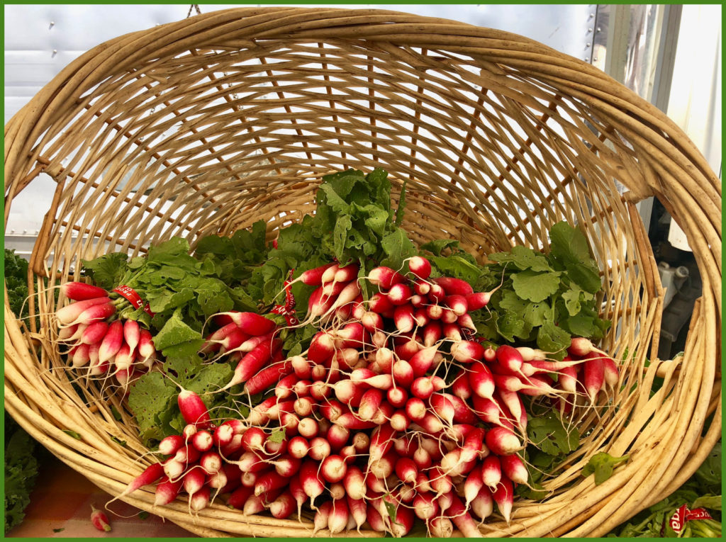 A basket of organic radishes reflect the American custom of shopping at farmers markets. (Image © Joyce McGreevy) 