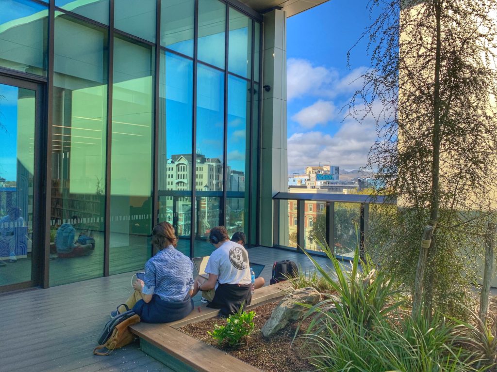 A rooftop garden at the Tauranga Library in Christchurch, New Zealand, inspires wanderlust to travel to public libraries, or library tourism, around the world. (Image © Joyce McGreevy)